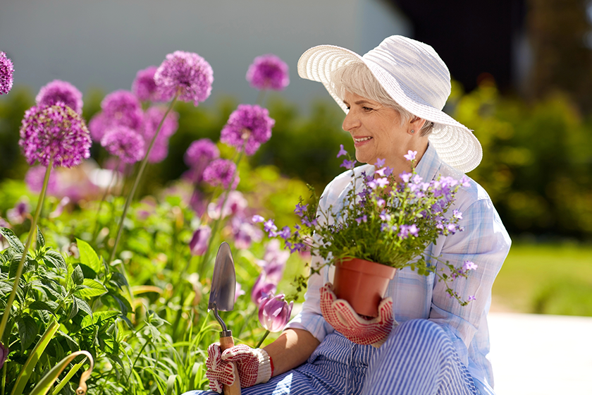 Senior woman planting flowers at summer garden