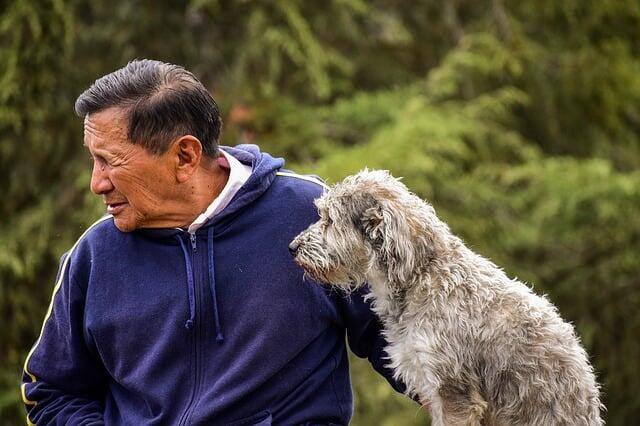 older-dog-old-man-with-his-dog